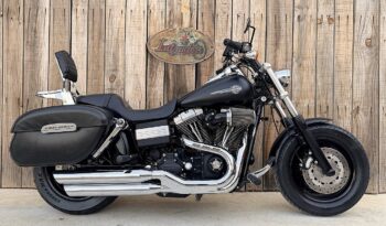 HARLEY DAVIDSON DYNA FAT BOB lleno