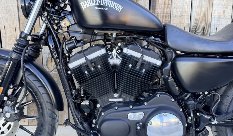 HARLEY DAVIDSON XL883 IRON lleno