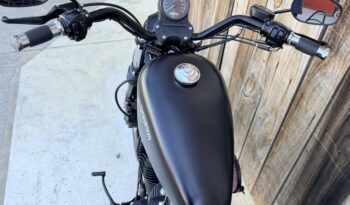 HARLEY DAVIDSON XL883 IRON lleno