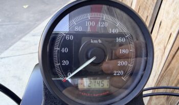 HARLEY DAVIDSON XL883 IRON lleno