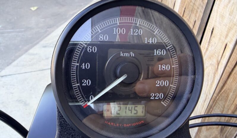 HARLEY DAVIDSON XL883 IRON lleno