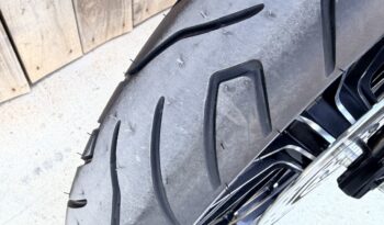 HARLEY DAVIDSON XL883 IRON lleno