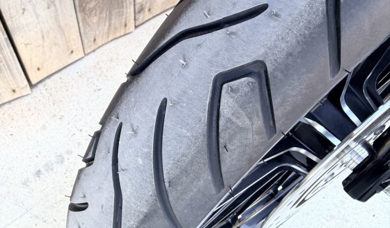 HARLEY DAVIDSON XL883 IRON lleno