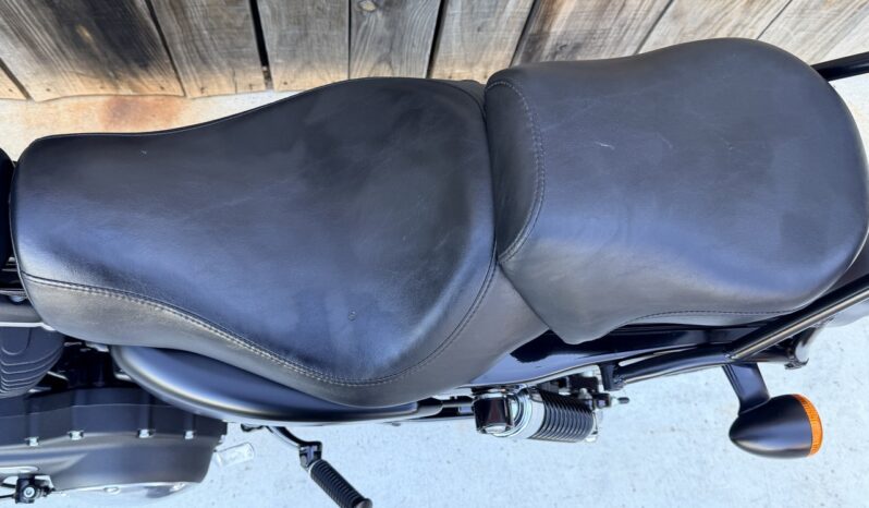 HARLEY DAVIDSON XL883 IRON lleno