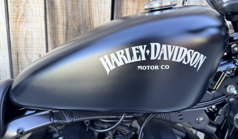 HARLEY DAVIDSON XL883 IRON lleno