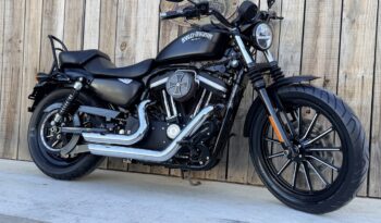 HARLEY DAVIDSON XL883 IRON lleno
