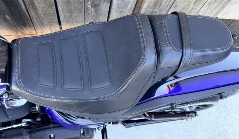 HARLEY DAVIDSON FAT BOB 114 lleno