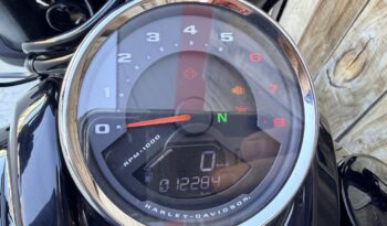 HARLEY DAVIDSON FAT BOB 114 lleno