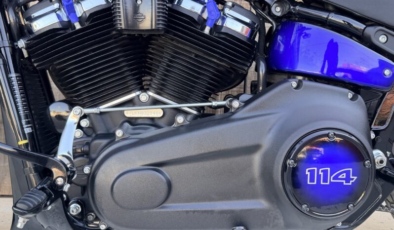 HARLEY DAVIDSON FAT BOB 114 lleno