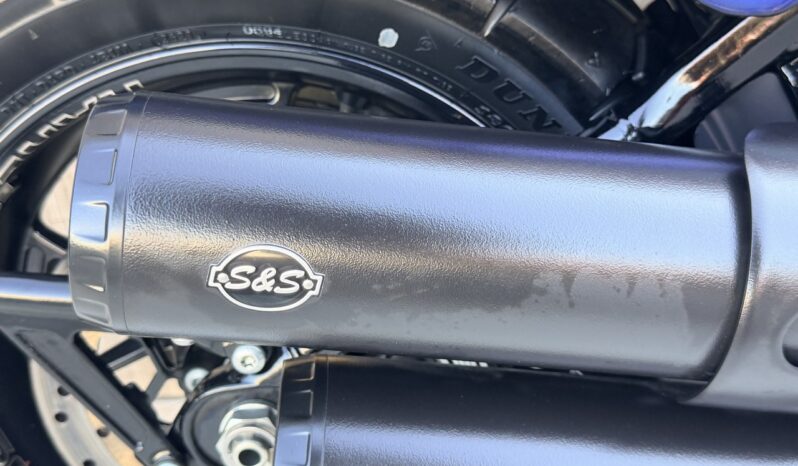HARLEY DAVIDSON FAT BOB 114 lleno