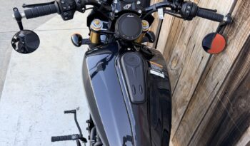 INDIAN SCOUT 101 lleno