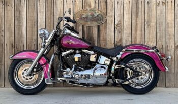 HARLEY DAVIDSON HERITAGE SOFTAIL HISTORICA lleno