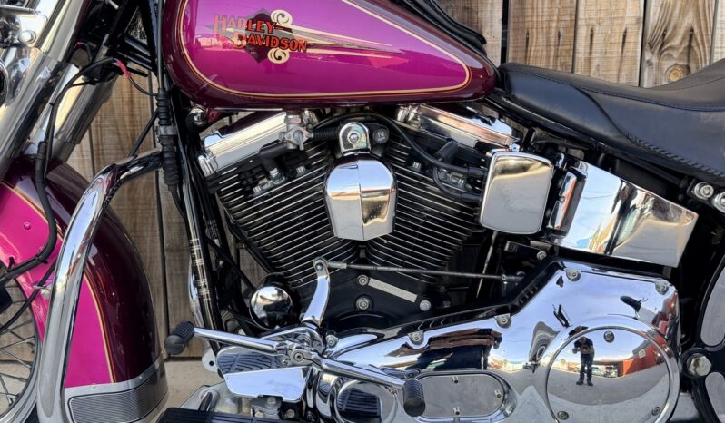 HARLEY DAVIDSON HERITAGE SOFTAIL HISTORICA lleno