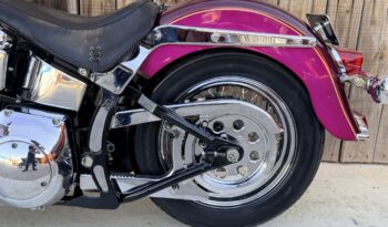 HARLEY DAVIDSON HERITAGE SOFTAIL HISTORICA lleno