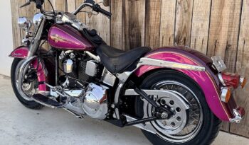 HARLEY DAVIDSON HERITAGE SOFTAIL HISTORICA lleno