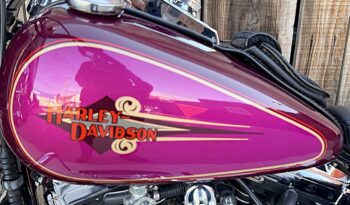HARLEY DAVIDSON HERITAGE SOFTAIL HISTORICA lleno