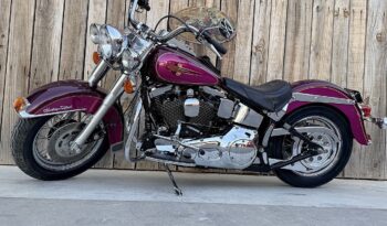HARLEY DAVIDSON HERITAGE SOFTAIL HISTORICA lleno