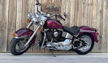 HARLEY DAVIDSON HERITAGE SOFTAIL HISTORICA lleno