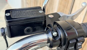 HARLEY DAVIDSON HERITAGE SOFTAIL HISTORICA lleno