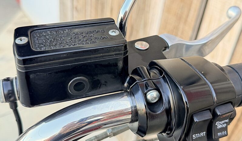 HARLEY DAVIDSON HERITAGE SOFTAIL HISTORICA lleno