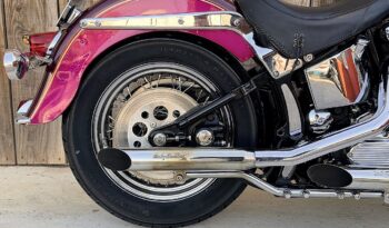 HARLEY DAVIDSON HERITAGE SOFTAIL HISTORICA lleno