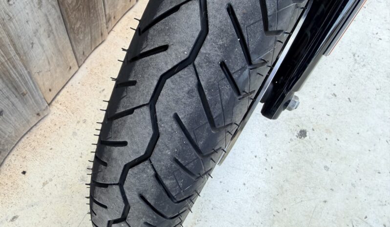 HARLEY DAVIDSON XL883 IRON ABS lleno