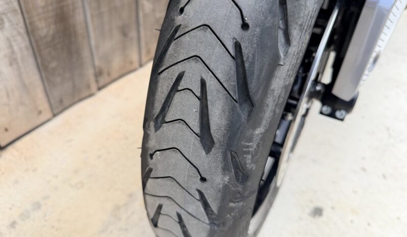 TRIUMPH TIGER SPORT 660 lleno