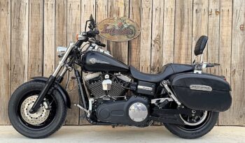 HARLEY DAVIDSON DYNA FAT BOB lleno