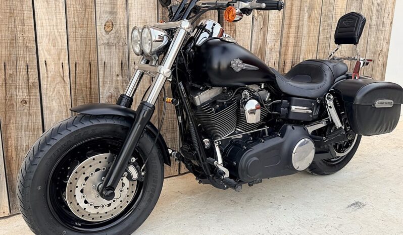 HARLEY DAVIDSON DYNA FAT BOB lleno