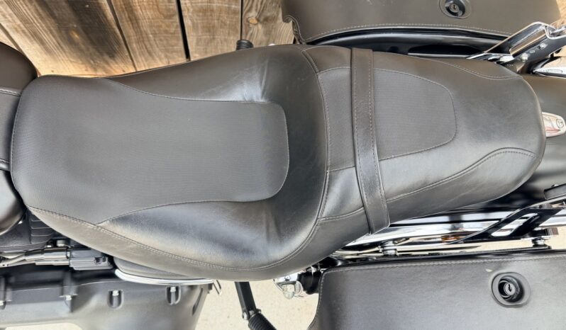 HARLEY DAVIDSON DYNA FAT BOB lleno