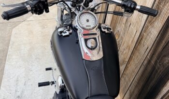 HARLEY DAVIDSON DYNA FAT BOB lleno