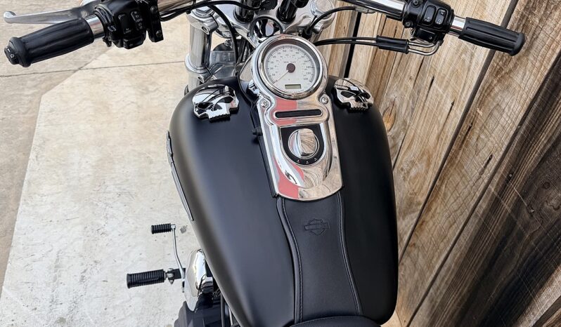 HARLEY DAVIDSON DYNA FAT BOB lleno