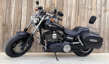 HARLEY DAVIDSON DYNA FAT BOB lleno