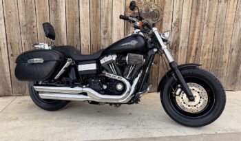 HARLEY DAVIDSON DYNA FAT BOB lleno