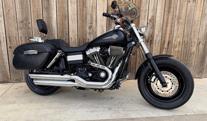 HARLEY DAVIDSON DYNA FAT BOB lleno