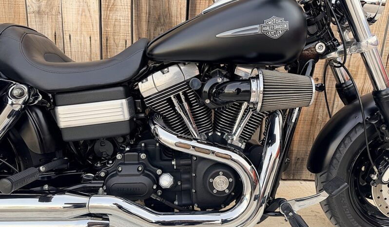 HARLEY DAVIDSON DYNA FAT BOB lleno