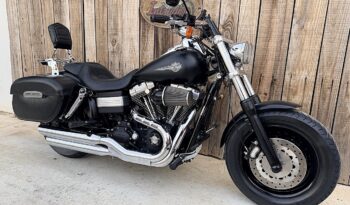 HARLEY DAVIDSON DYNA FAT BOB lleno