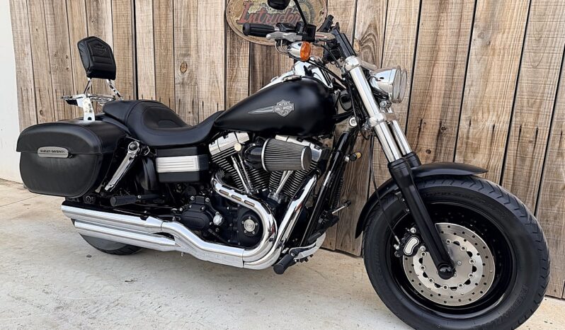 HARLEY DAVIDSON DYNA FAT BOB lleno
