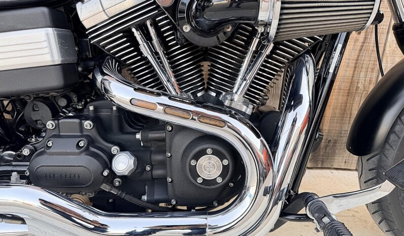 HARLEY DAVIDSON DYNA FAT BOB lleno
