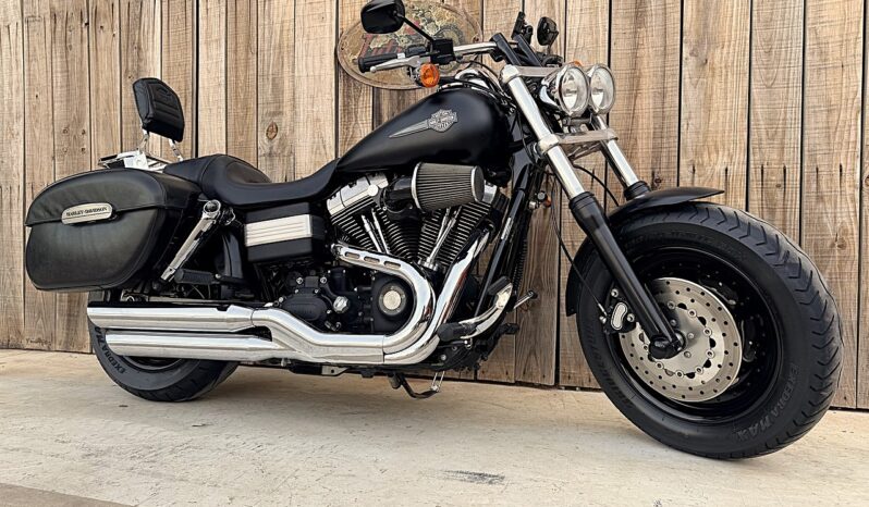 HARLEY DAVIDSON DYNA FAT BOB lleno