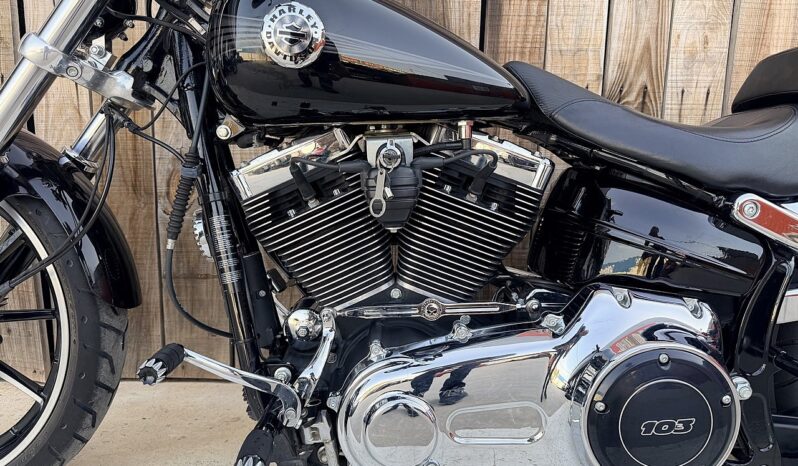 HARLEY DAVIDSON SOFTAIL BREAKOUT lleno