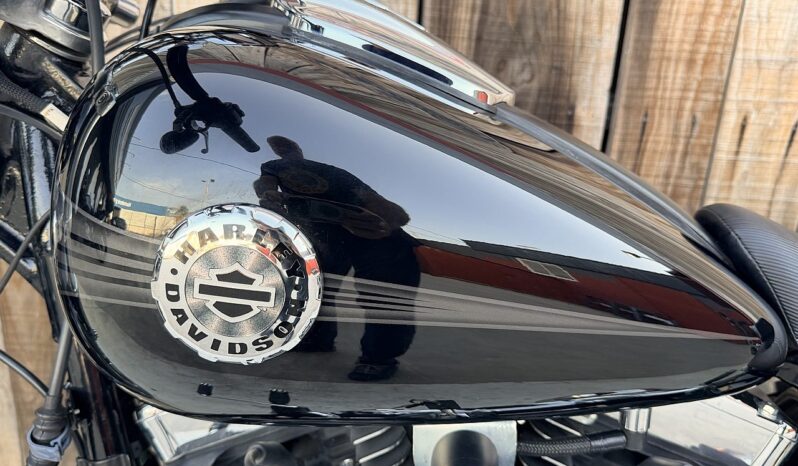 HARLEY DAVIDSON SOFTAIL BREAKOUT lleno