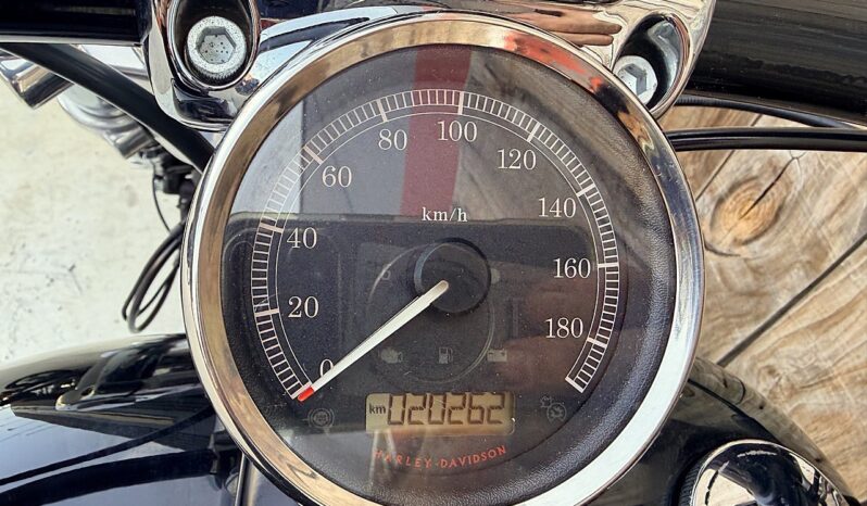 HARLEY DAVIDSON SOFTAIL BREAKOUT lleno