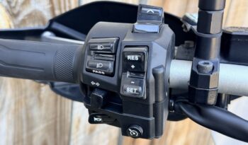 YAMAHA SUPER TENERE 1200 lleno
