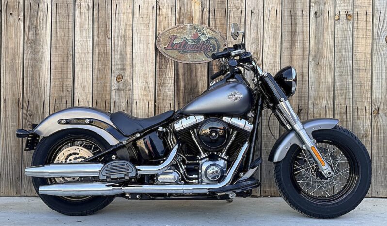 HARLEY DAVIDSON SOFTAIL SLIM lleno