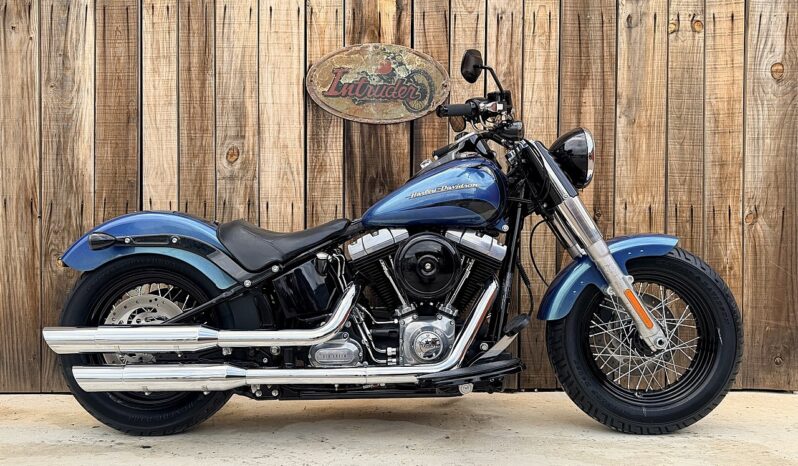 HARLEY DAVIDSON SOFTAIL SLIM lleno
