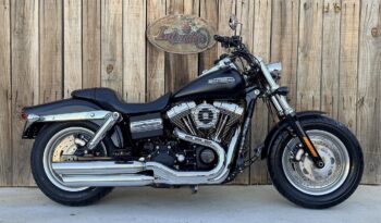 HARLEY DAVIDSON DYNA FAT BOB lleno