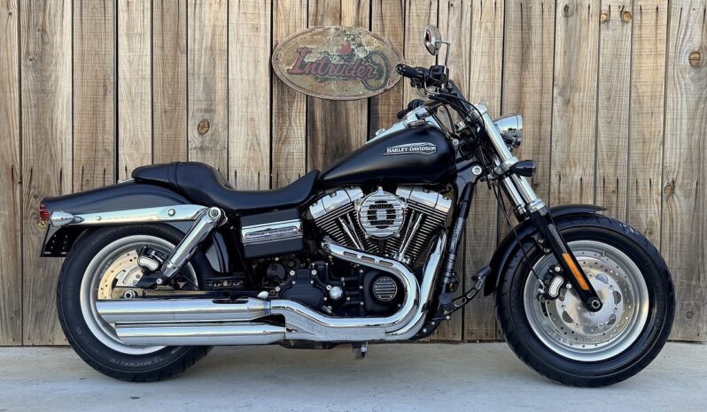 HARLEY DAVIDSON DYNA FAT BOB lleno