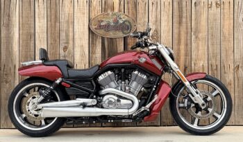 HARLEY DAVIDSON VRSCF MUSCLE lleno