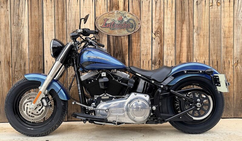 HARLEY DAVIDSON SOFTAIL SLIM lleno